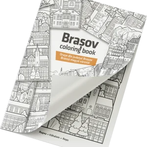 T*sylvania Mini – Brașov